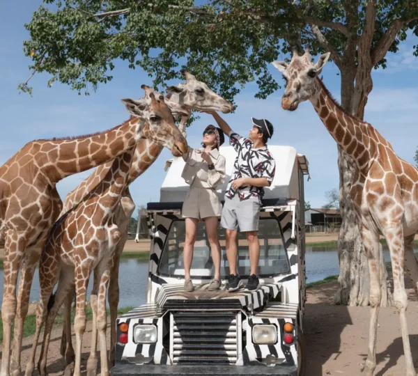 Phu Quoc tour package from bangalore