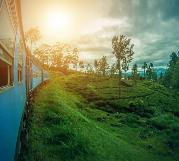 sri lanka tour package