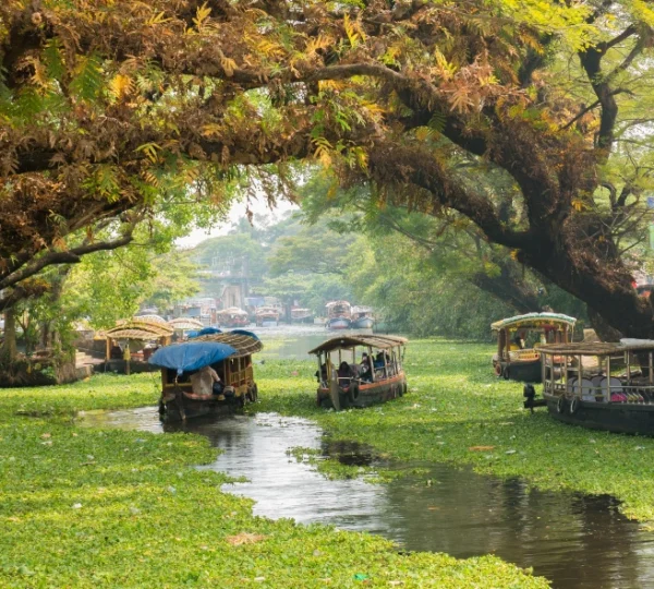 Alleppey trip