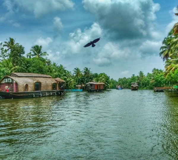 Alleppey tour