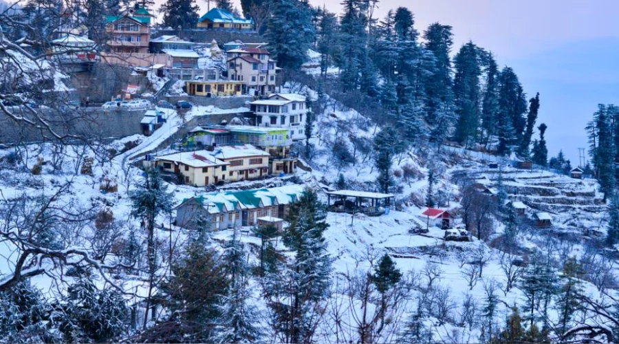 kufri shimla tour