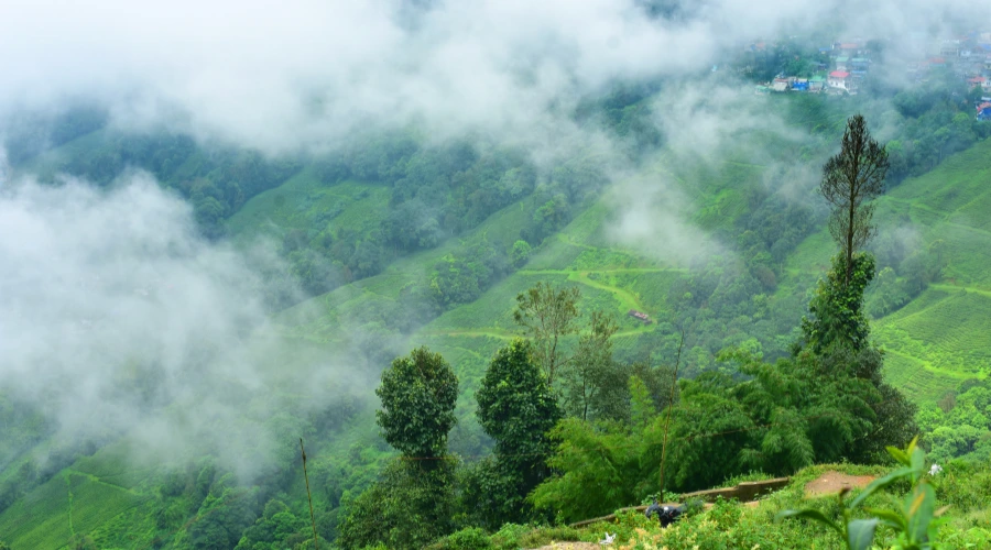 Darjeeling tour