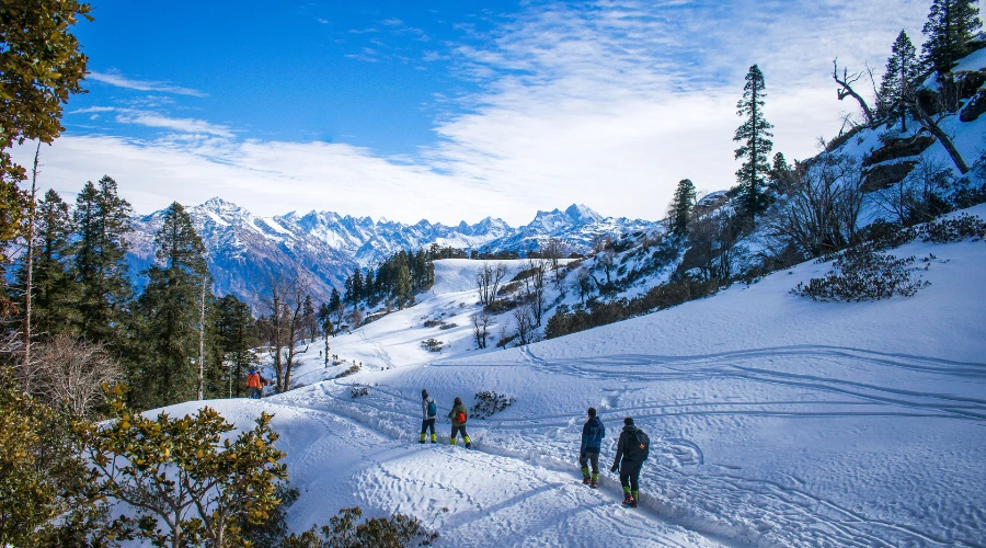 Manali tour