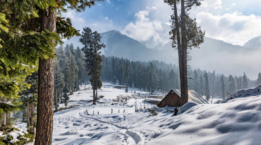 pahalgam tour