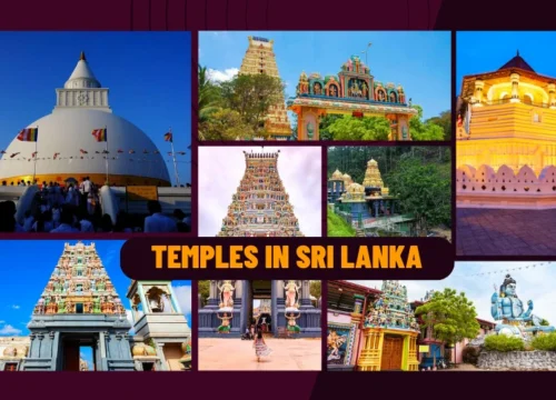 Temples in Sri Lanka For A Divine Journey