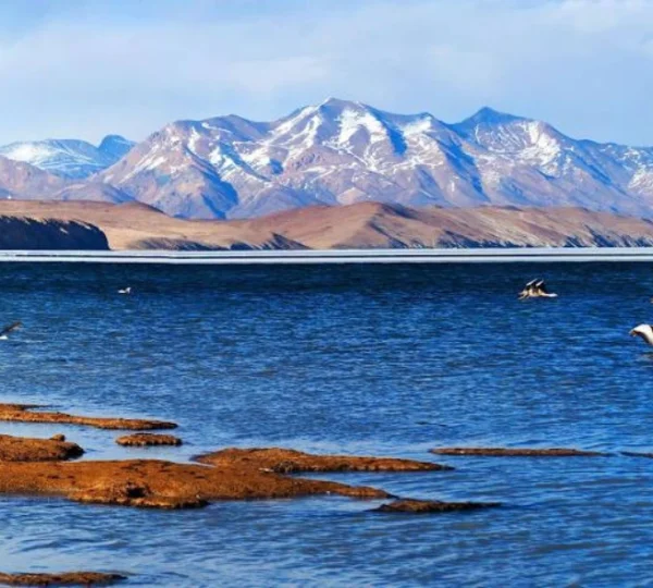 kailash mansarovar