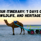 Gujarath tour package