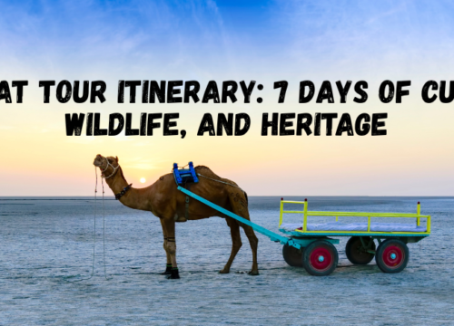 Gujarat Tour Itinerary: 7 Days of Culture, Wildlife, and Heritage